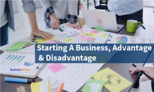 Advantage and disadvantage of business